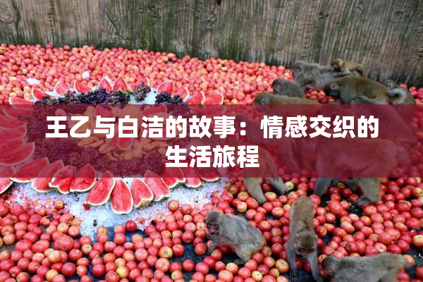 王乙与白洁的故事：情感交织的生活旅程
