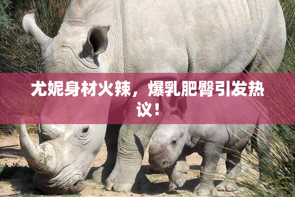 尤妮身材火辣，爆乳肥臀引发热议！