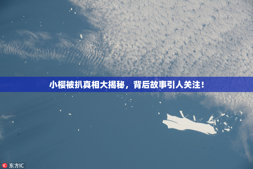 小樱被扒真相大揭秘，背后故事引人关注！