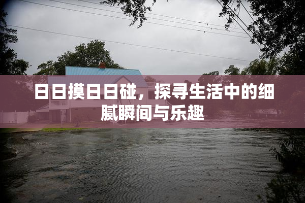 日日摸日日碰，探寻生活中的细腻瞬间与乐趣