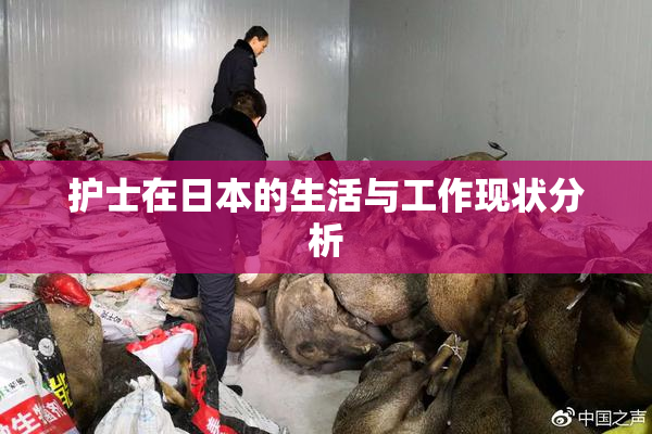 护士在日本的生活与工作现状分析