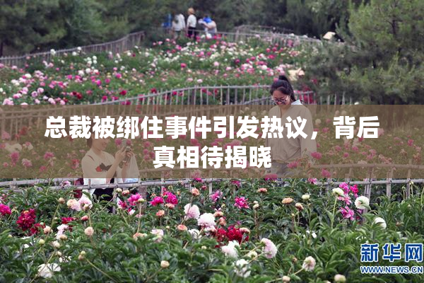 总裁被绑住事件引发热议，背后真相待揭晓