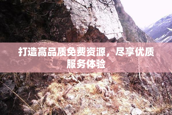 打造高品质免费资源，尽享优质服务体验