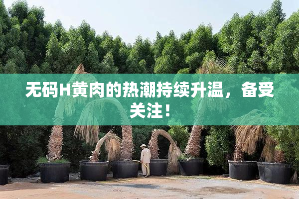 无码H黄肉的热潮持续升温，备受关注！