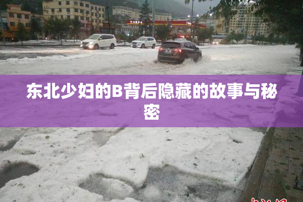 东北少妇的B背后隐藏的故事与秘密