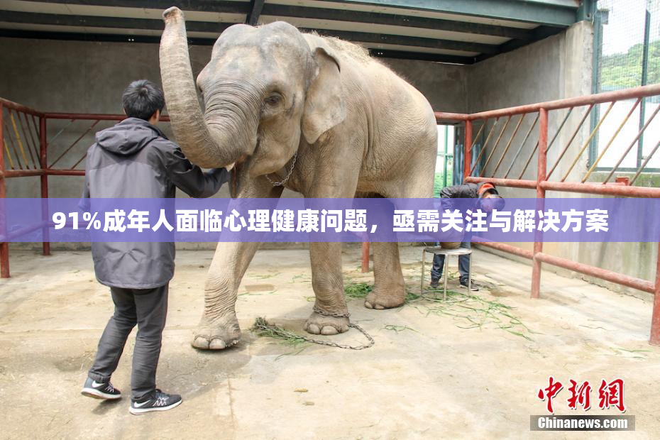 91%成年人面临心理健康问题，亟需关注与解决方案