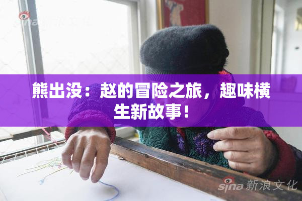 熊出没：赵的冒险之旅，趣味横生新故事！
