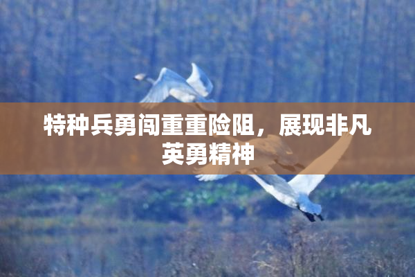 特种兵勇闯重重险阻，展现非凡英勇精神