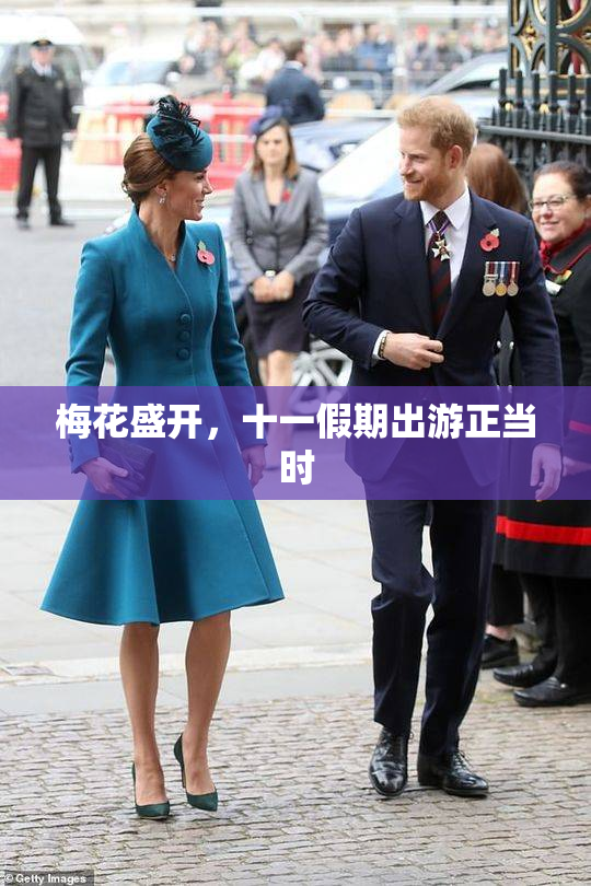 梅花盛开，十一假期出游正当时