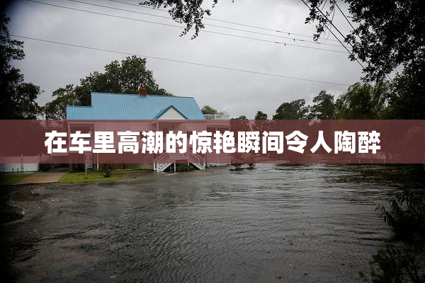 在车里高潮的惊艳瞬间令人陶醉