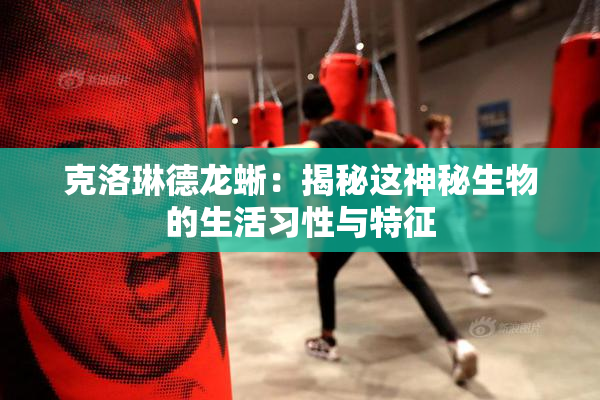 克洛琳德龙蜥：揭秘这神秘生物的生活习性与特征