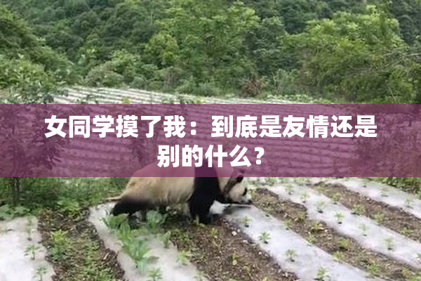 女同学摸了我：到底是友情还是别的什么？