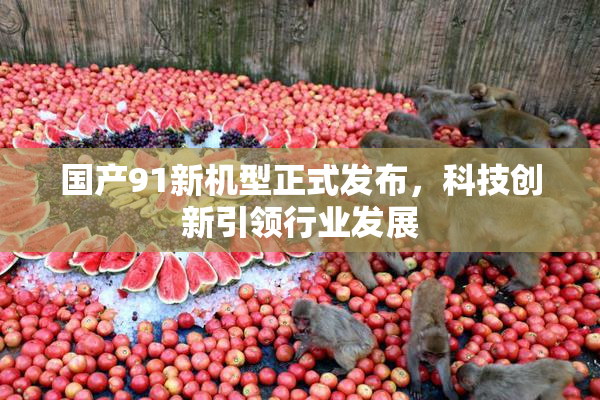 国产91新机型正式发布，科技创新引领行业发展