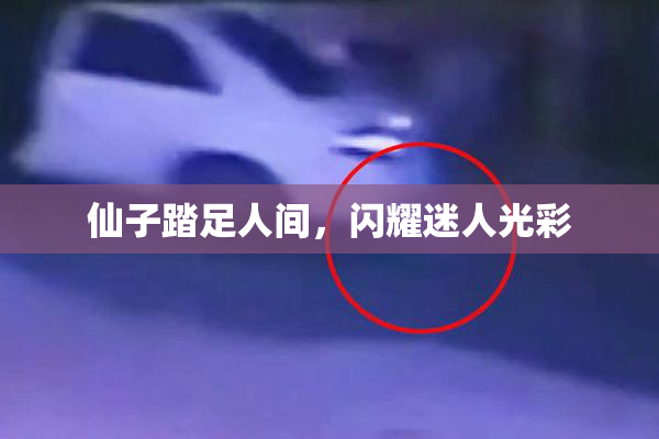 仙子踏足人间，闪耀迷人光彩