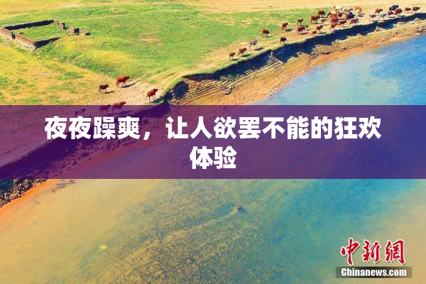 夜夜躁爽，让人欲罢不能的狂欢体验