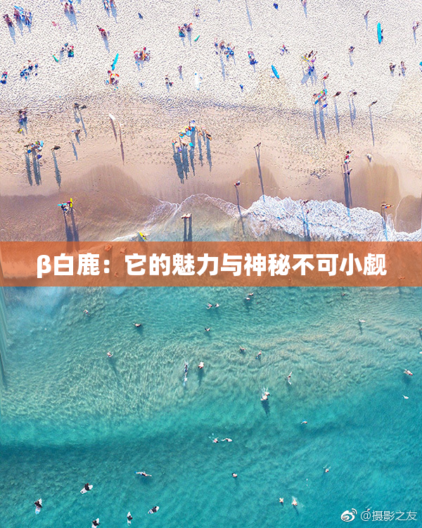 β白鹿：它的魅力与神秘不可小觑