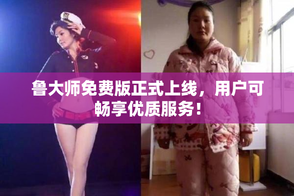 鲁大师免费版正式上线，用户可畅享优质服务！