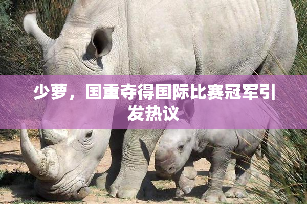 少萝，国重夺得国际比赛冠军引发热议