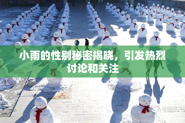 小雨的性别秘密揭晓，引发热烈讨论和关注