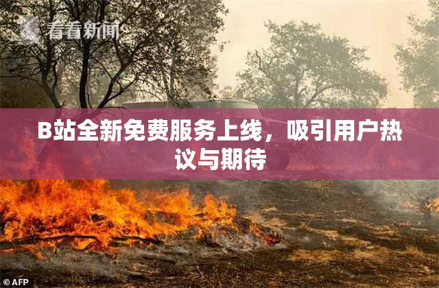 B站全新免费服务上线，吸引用户热议与期待