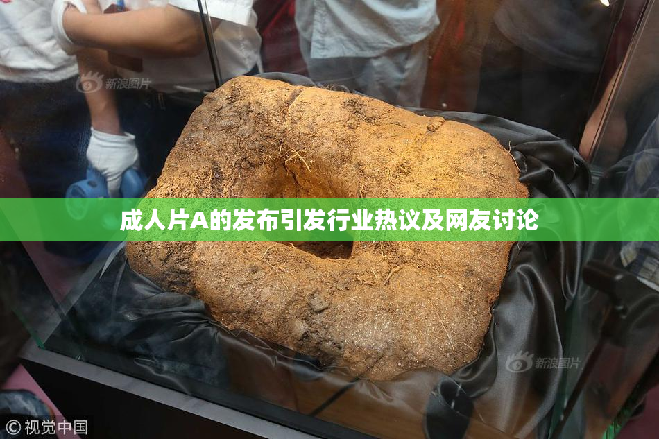 成人片A的发布引发行业热议及网友讨论