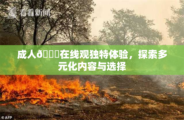 成人🔞在线观独特体验，探索多元化内容与选择