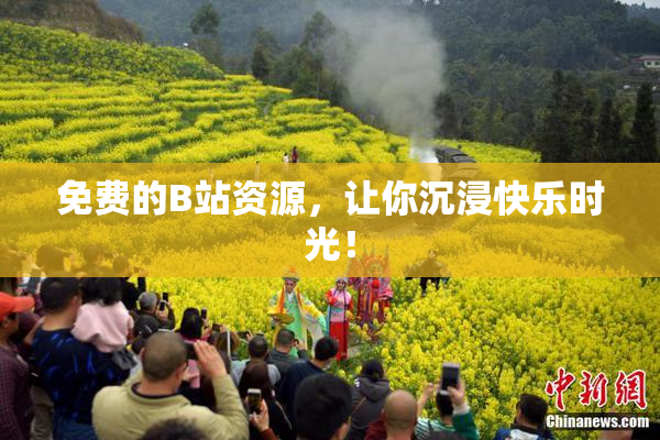 免费的B站资源，让你沉浸快乐时光！