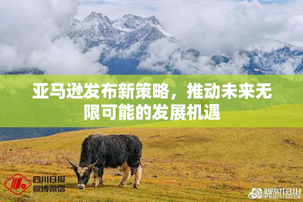 亚马逊发布新策略，推动未来无限可能的发展机遇