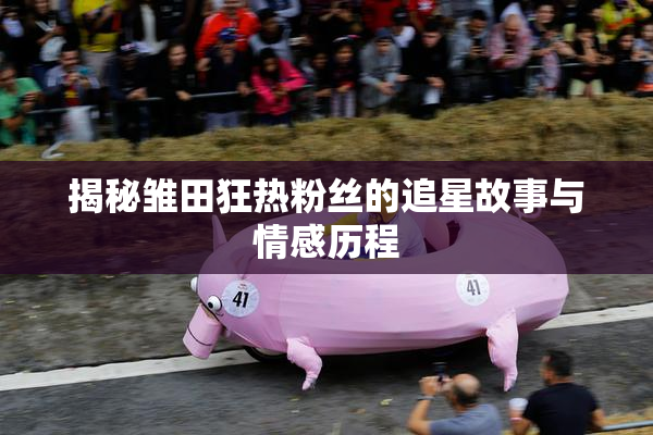 揭秘雏田狂热粉丝的追星故事与情感历程