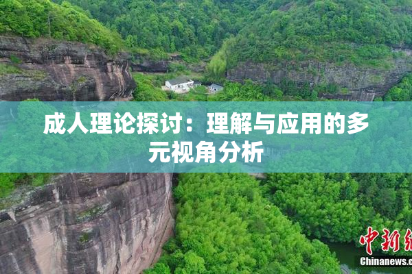 成人理论探讨：理解与应用的多元视角分析