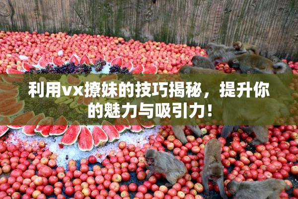 利用vx撩妹的技巧揭秘，提升你的魅力与吸引力！