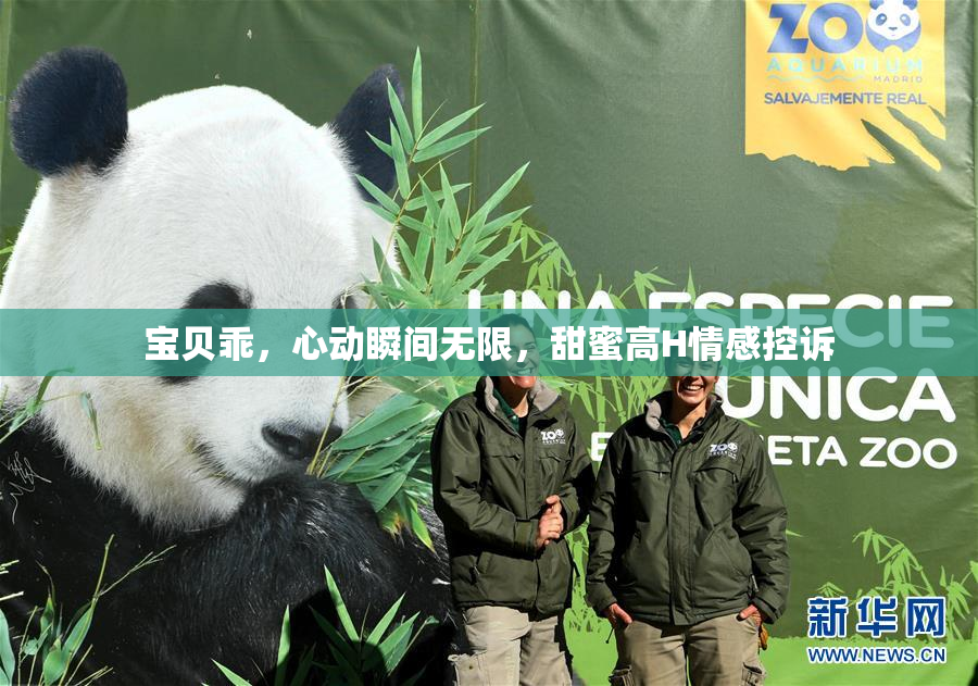 宝贝乖，心动瞬间无限，甜蜜高H情感控诉