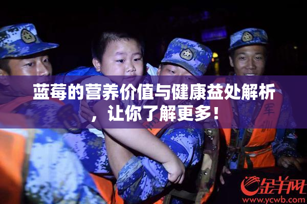 蓝莓的营养价值与健康益处解析，让你了解更多！