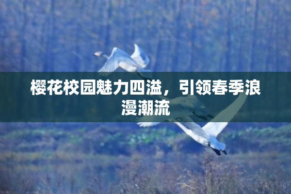 樱花校园魅力四溢，引领春季浪漫潮流