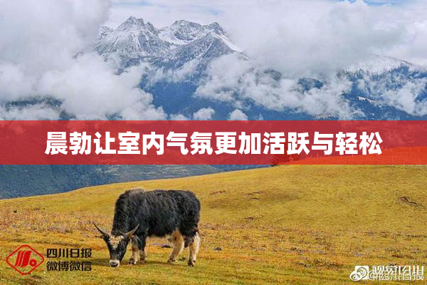晨勃让室内气氛更加活跃与轻松