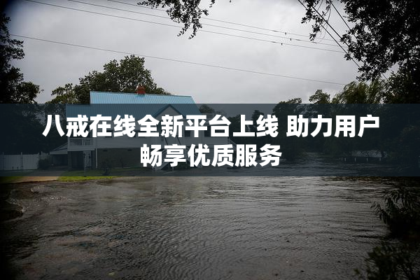 八戒在线全新平台上线 助力用户畅享优质服务