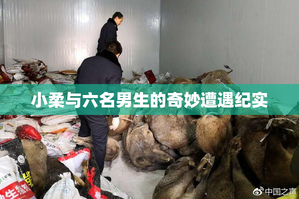 小柔与六名男生的奇妙遭遇纪实