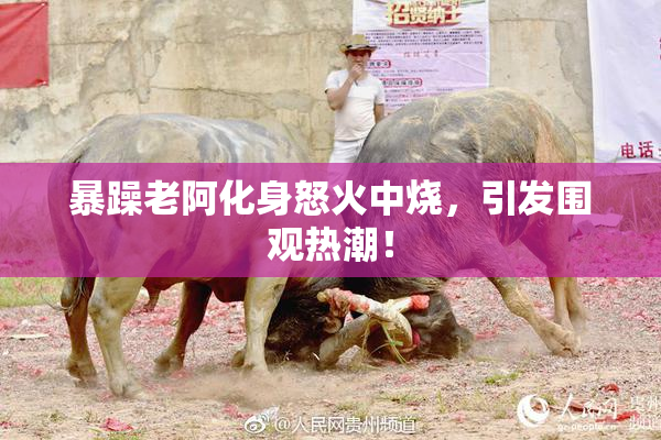暴躁老阿化身怒火中烧，引发围观热潮！