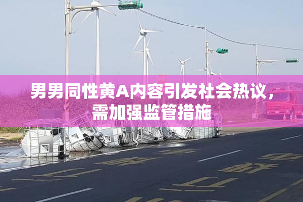 男男同性黄A内容引发社会热议，需加强监管措施