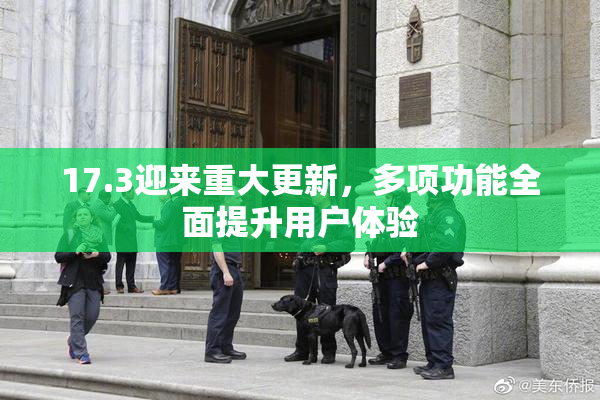 17.3迎来重大更新，多项功能全面提升用户体验