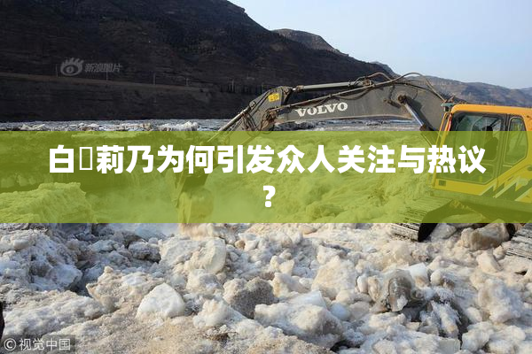 白咲莉乃为何引发众人关注与热议？