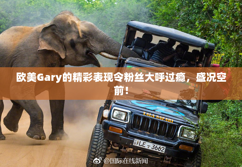 欧美Gary的精彩表现令粉丝大呼过瘾，盛况空前！