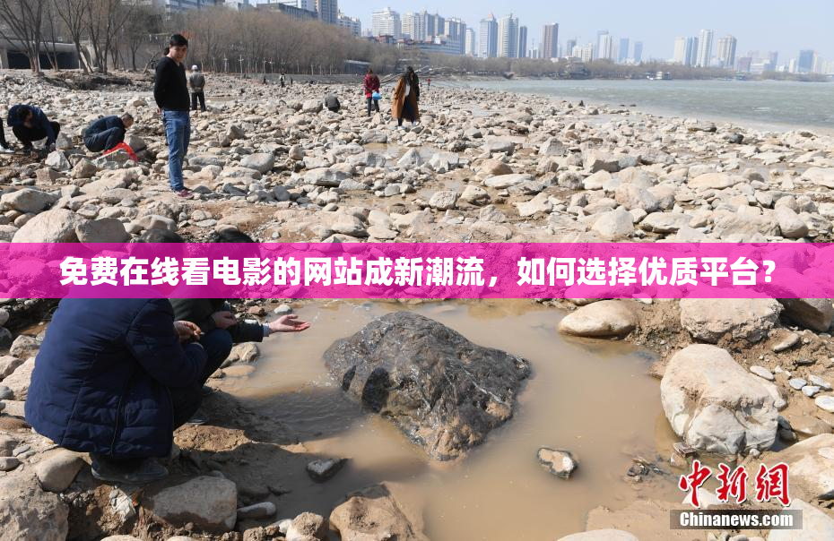免费在线看电影的网站成新潮流，如何选择优质平台？