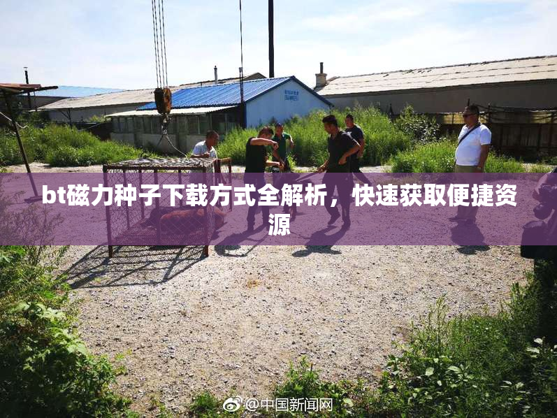 bt磁力种子下载方式全解析，快速获取便捷资源