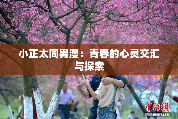 小正太同男漫：青春的心灵交汇与探索