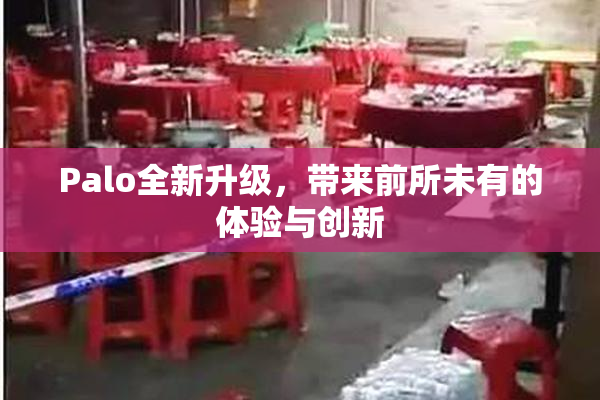 Palo全新升级，带来前所未有的体验与创新