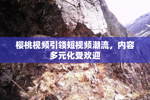 樱桃视频引领短视频潮流，内容多元化受欢迎