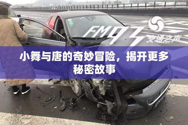 小舞与唐的奇妙冒险，揭开更多秘密故事