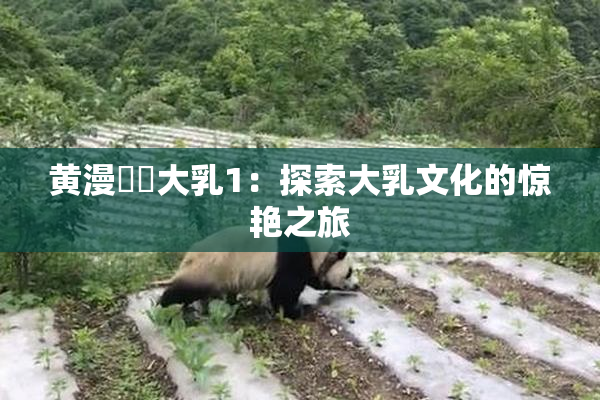 黄漫❌‌大乳1：探索大乳文化的惊艳之旅