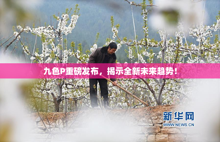 九色P重磅发布，揭示全新未来趋势！